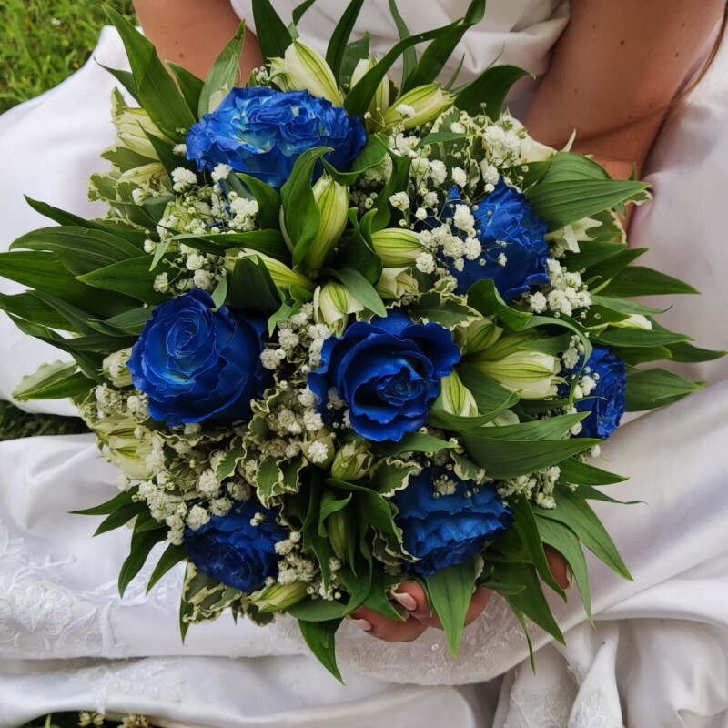 WhatsApp Image 2026-03-10 at 12.09.33 15